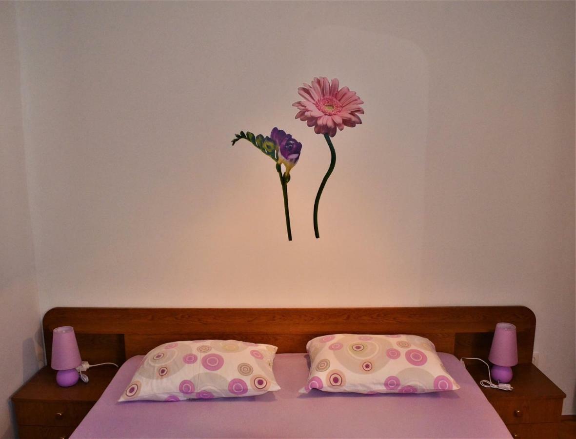 פירובאץ Apartman Rosa מראה חיצוני תמונה